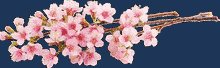 Decorative cherry blossom branch graphic