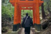 Red torii gate tunnel at Fushimi Inari shrine, Kyoto Japan